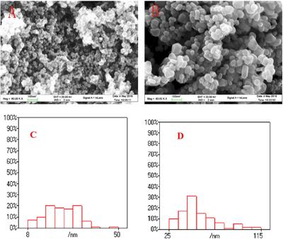 Effects and Mechanism of Two Nanoparticles (Titanium Dioxide and Silver) to Moina mongolica Daday (Crustacea, Cladocera)